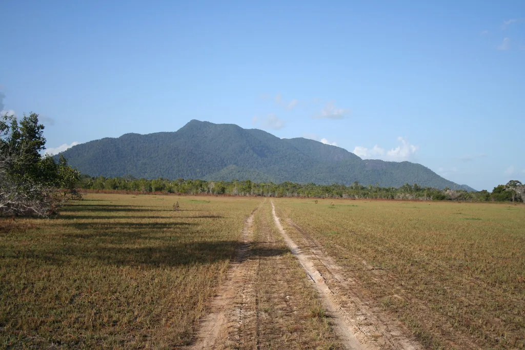 Rupununi savannah