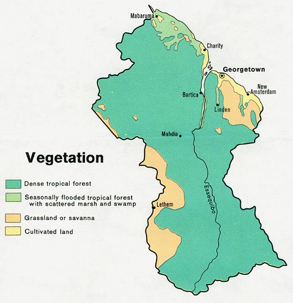 Vegetation map of Guyana, 1973