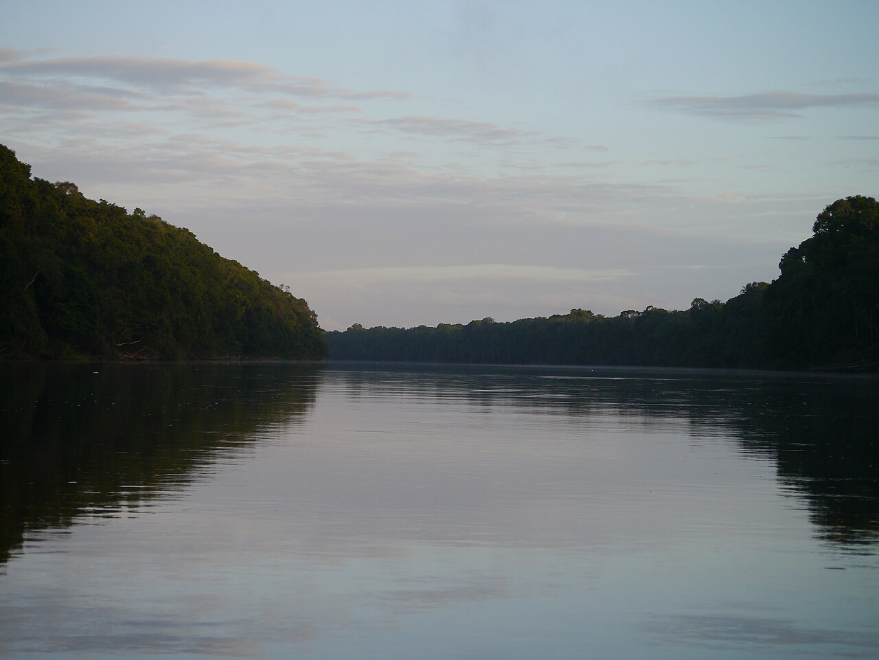 Iwokrama rainforest