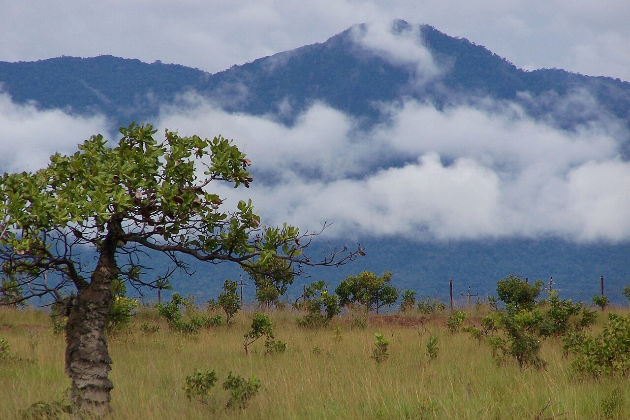 Kanuku Mountains from Lethem